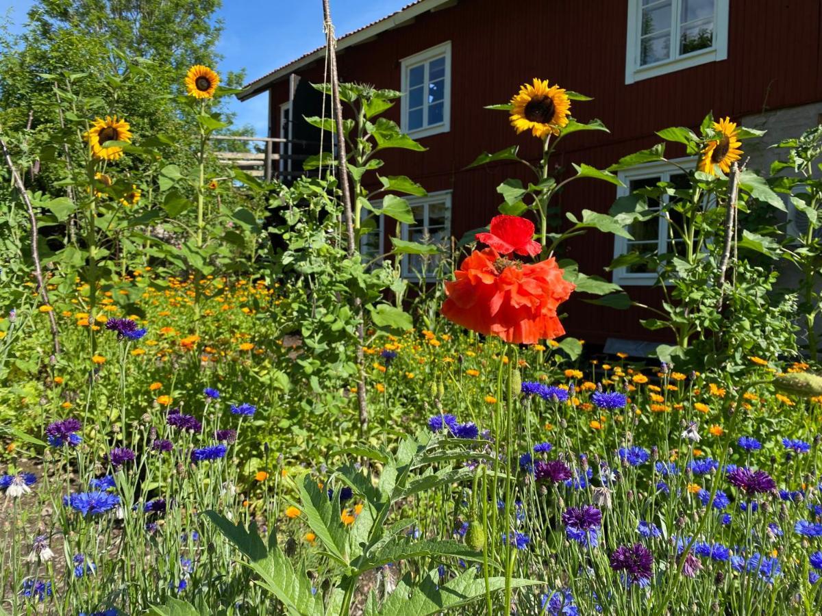 Bed and Breakfast Hälsingegården Erik-Anders Söderhamn Exterior foto